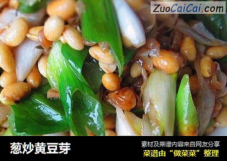 葱炒黄豆芽