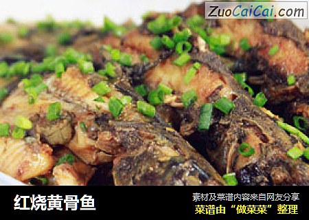 红烧黄骨鱼
