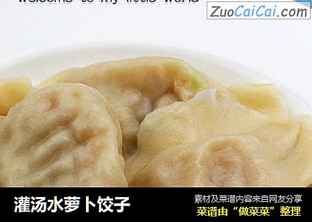 灌汤水萝卜饺子