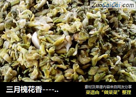 三月槐花香----蒸槐花