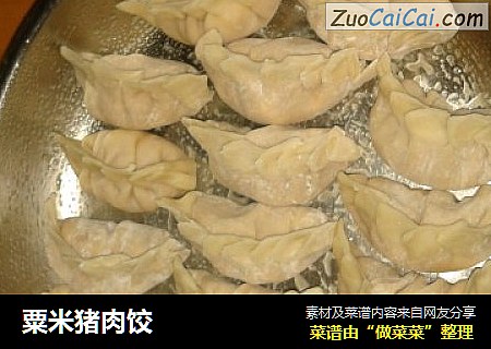 粟米猪肉饺