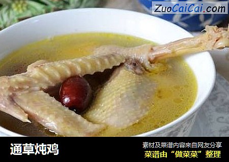 通草炖鸡