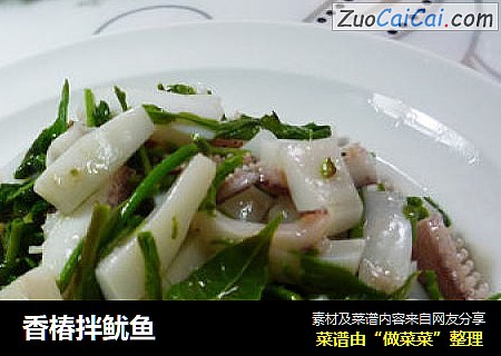 香椿拌鱿鱼