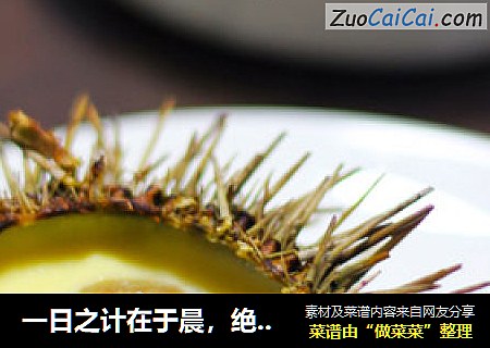 一日之计在于晨，绝对营养的早餐——海胆炖蛋