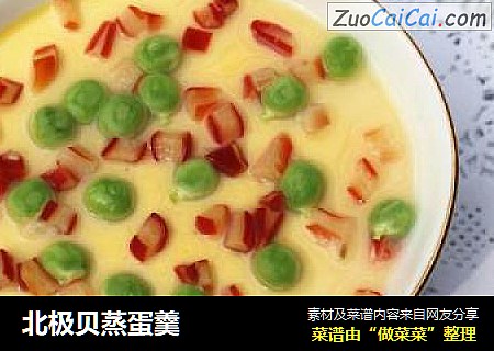 北极贝蒸蛋羹