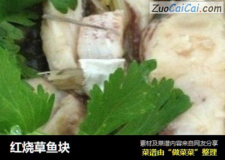 红烧草鱼块