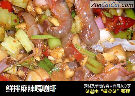 鲜拌麻辣嘎嘣虾