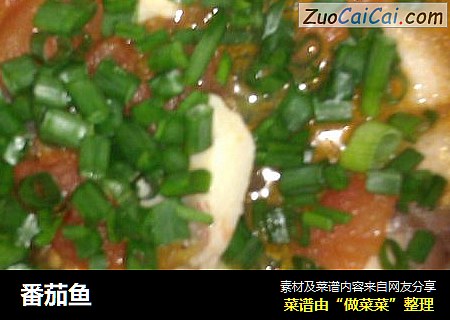 番茄鱼