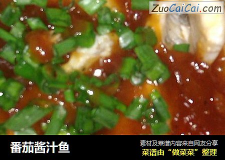 番茄酱汁鱼