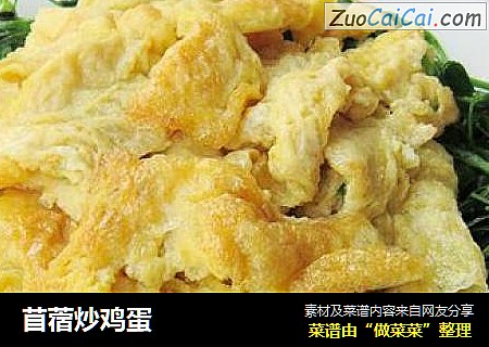 苜蓿炒鸡蛋