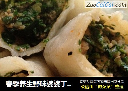 春季养生野味婆婆丁饺子