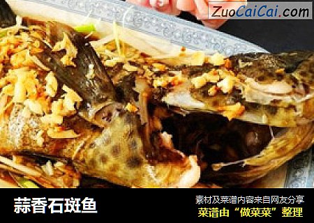 蒜香石斑鱼