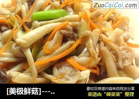 [美极鲜菇]－清爽鲜美营养