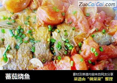 蕃茄烧鱼