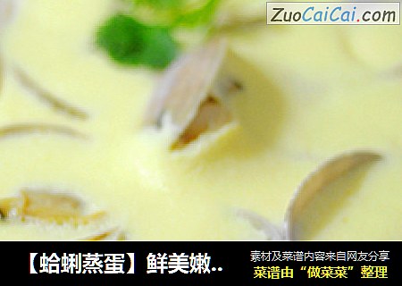 【蛤蜊蒸蛋】鲜美嫩滑蒸出来
