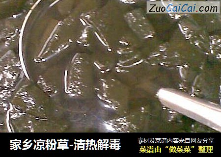 家乡凉粉草-清热解毒