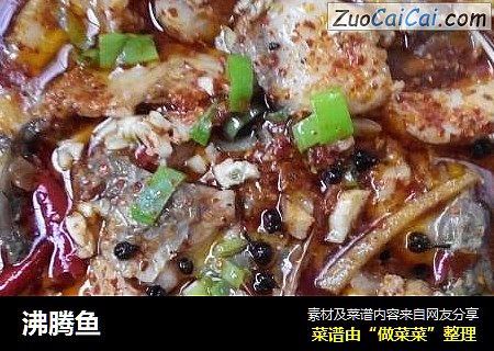 沸腾鱼
