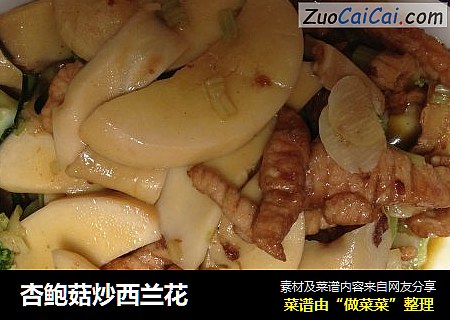 杏鲍菇炒西兰花
