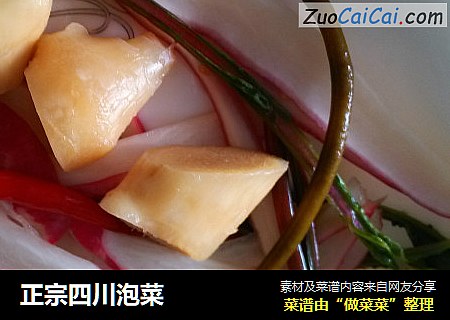 正宗四川泡菜