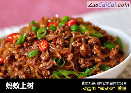 蚂蚁上树