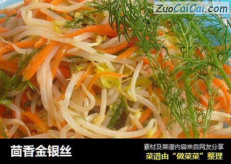 茴香金银丝
