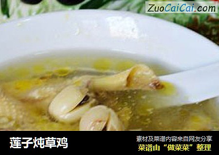 莲子炖草鸡