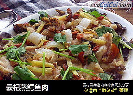 云杞蒸鳄鱼肉