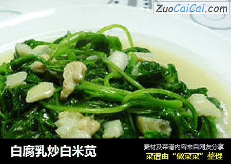 白腐乳炒白米苋