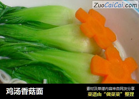 鸡汤香菇面