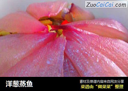 洋葱蒸鱼