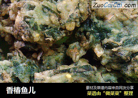 香椿鱼儿