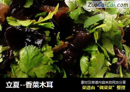 立夏--香菜木耳