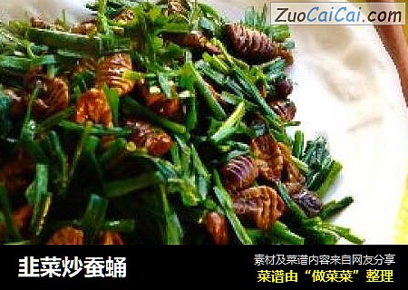 韭菜炒蚕蛹