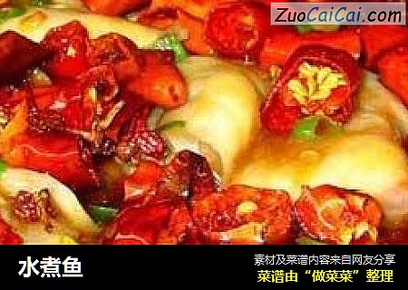 水煮鱼