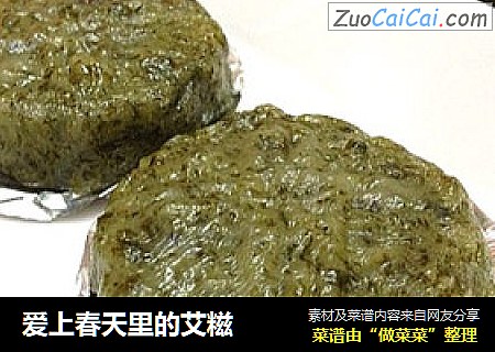 爱上春天里的艾糍