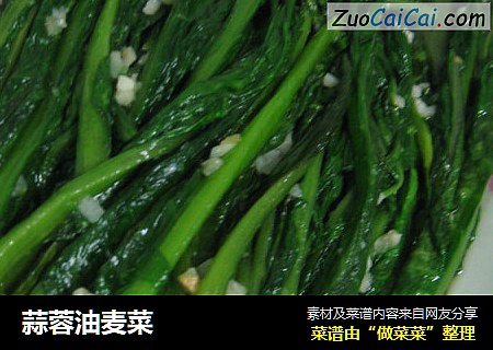 蒜蓉油麦菜