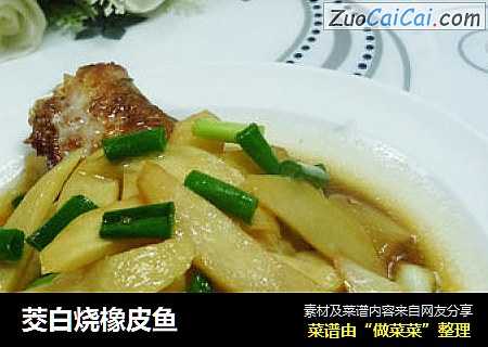 茭白烧橡皮鱼