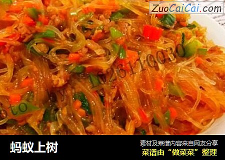 蚂蚁上树