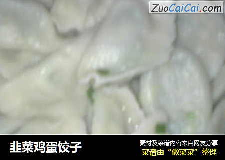 韭菜鸡蛋饺子