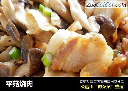 平菇烧肉