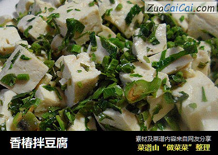 香椿拌豆腐