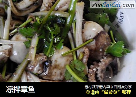 凉拌章鱼