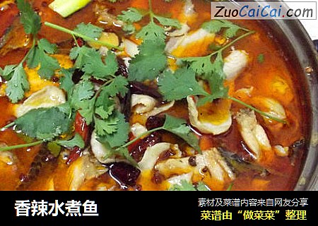 香辣水煮鱼