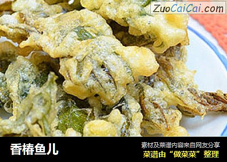 香椿鱼儿