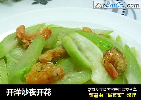开洋炒夜开花