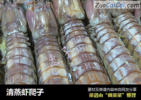 清蒸虾爬子