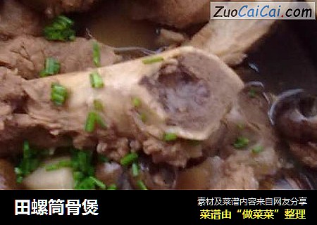 田螺筒骨煲