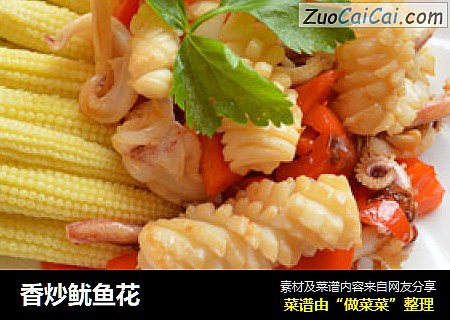 香炒鱿鱼花
