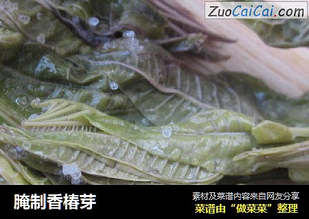 腌制香椿芽