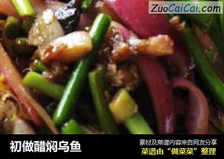 初做醋焖乌鱼